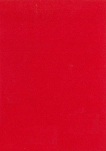 Picture of FELT RED